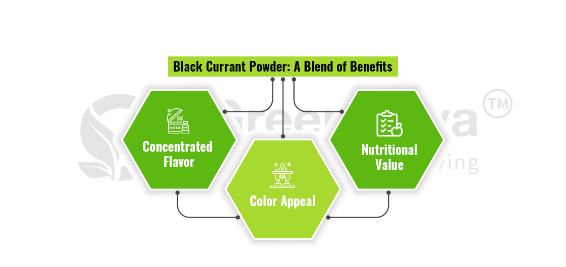 organic black currant powder